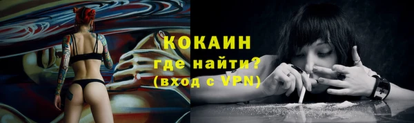 стаф Кукмор