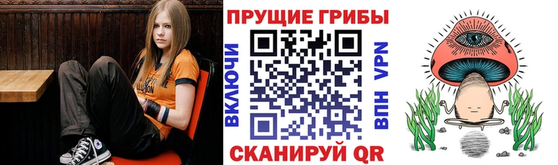 Галлюциногенные грибы мухоморы  Купить где  Алупка 
